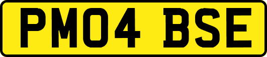 PM04BSE