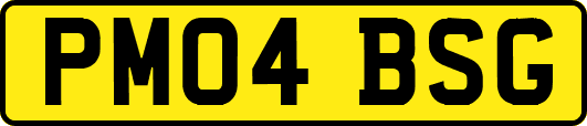 PM04BSG
