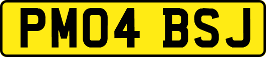 PM04BSJ