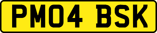 PM04BSK