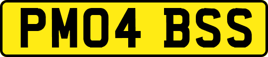 PM04BSS