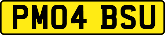 PM04BSU