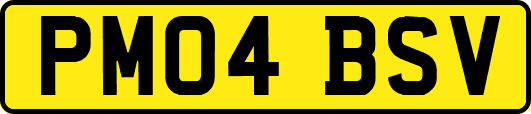 PM04BSV