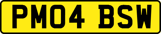 PM04BSW