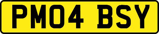 PM04BSY