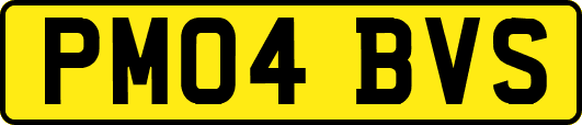 PM04BVS