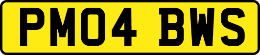 PM04BWS