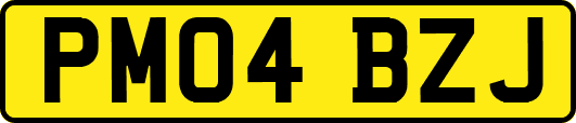 PM04BZJ