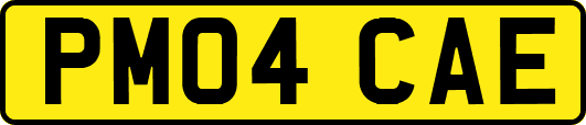 PM04CAE
