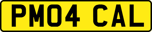 PM04CAL