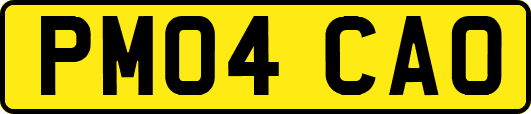 PM04CAO