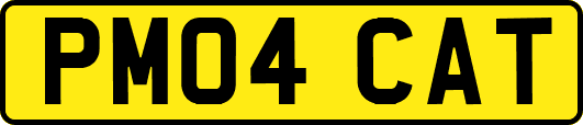 PM04CAT