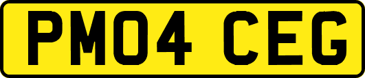 PM04CEG