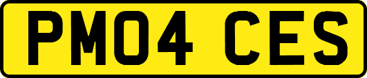 PM04CES