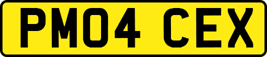 PM04CEX