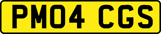 PM04CGS