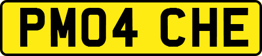 PM04CHE