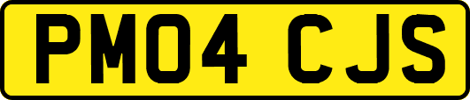 PM04CJS