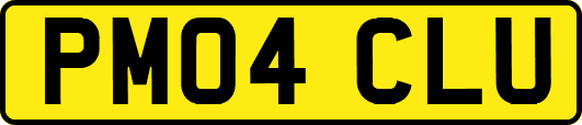 PM04CLU