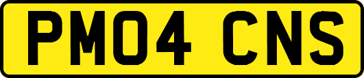 PM04CNS