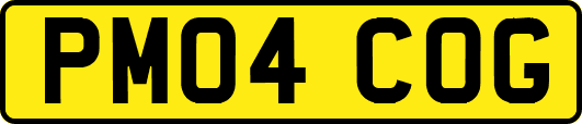 PM04COG