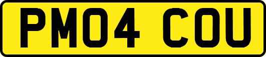 PM04COU