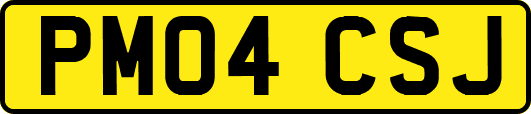 PM04CSJ