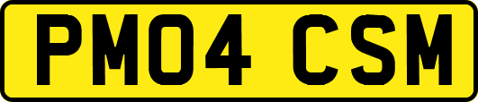 PM04CSM
