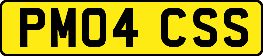 PM04CSS