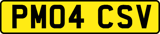 PM04CSV
