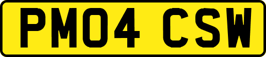 PM04CSW