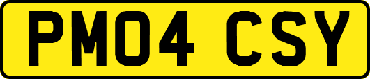 PM04CSY