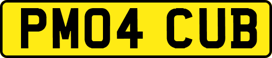PM04CUB
