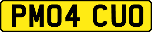 PM04CUO