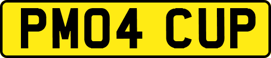 PM04CUP
