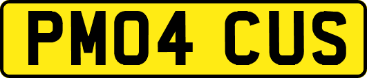 PM04CUS