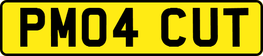 PM04CUT