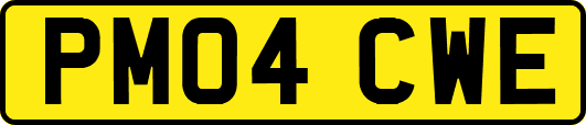 PM04CWE