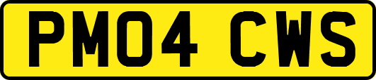 PM04CWS