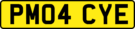 PM04CYE