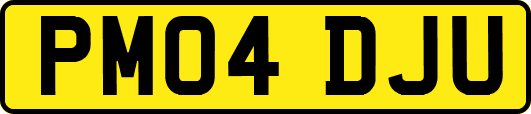 PM04DJU