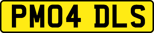 PM04DLS