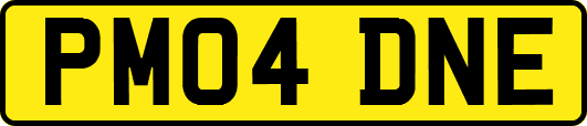 PM04DNE