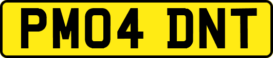PM04DNT