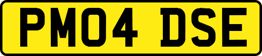 PM04DSE