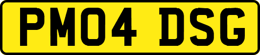 PM04DSG