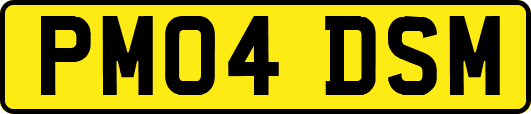 PM04DSM