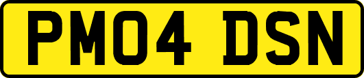 PM04DSN