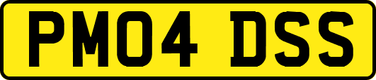 PM04DSS
