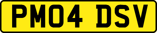 PM04DSV